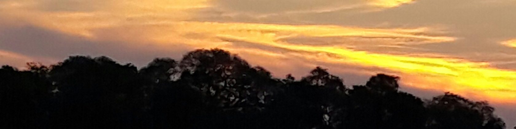 Sunset over the trees at the Mumvuri Project in Banket, Zimbabwe